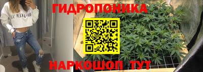 дурь Новодвинск