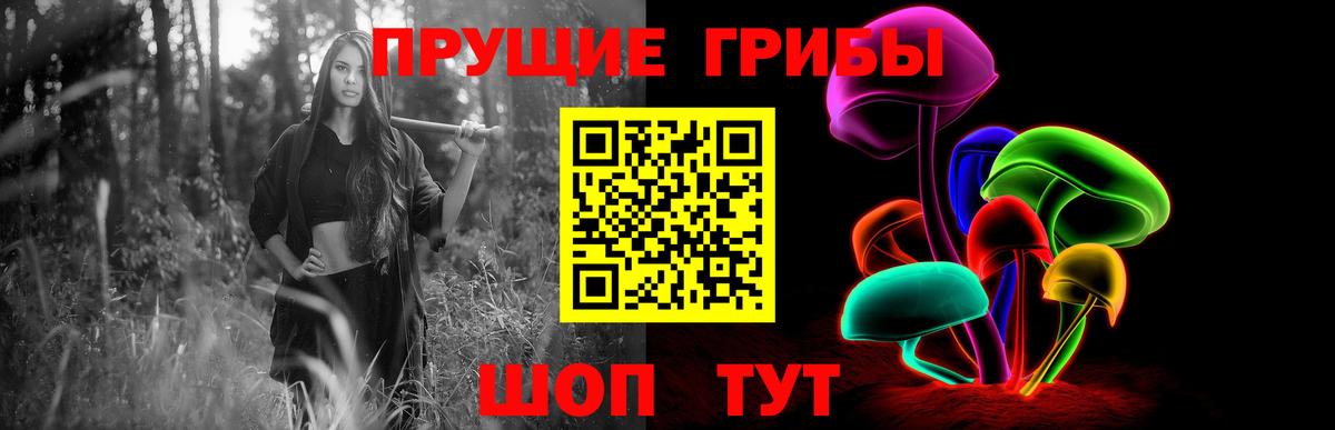 Галлюциногенные грибы GOLDEN TEACHER  Вход с VPN  Сатка 